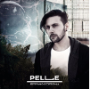 Pelle